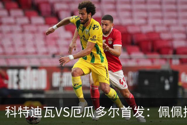 科特迪瓦VS厄瓜多尔首发：佩佩搭档扬-迪 凯塞多领军